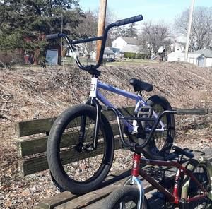 Meet your Posher, Riley